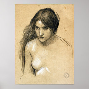 Póster Waterhouse - Hylas Y The Nymphs (Estudio)