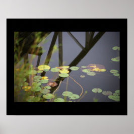 Póster Waterlilies Photo Poster