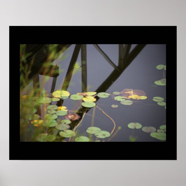 Póster Waterlilies Photo Poster (Frente)