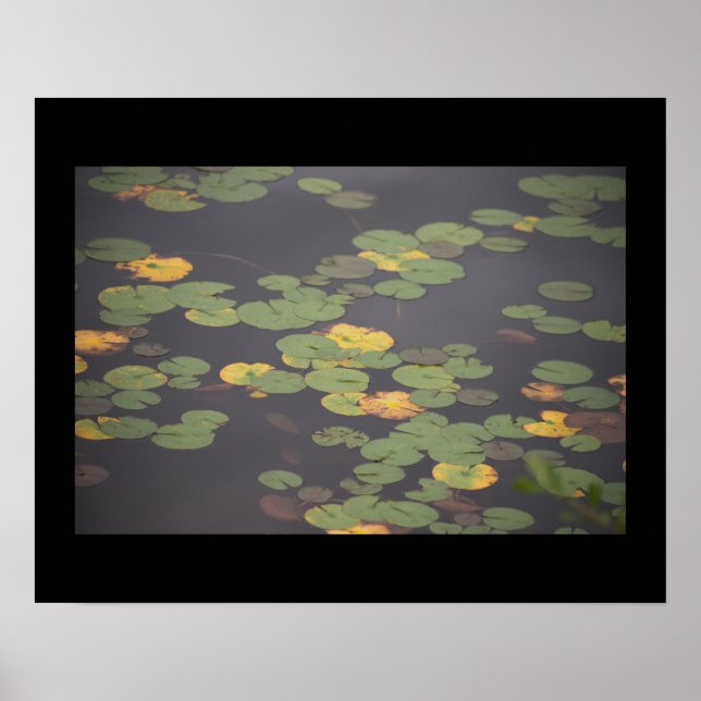 Póster Waterlilies Photo Poster (Frente)
