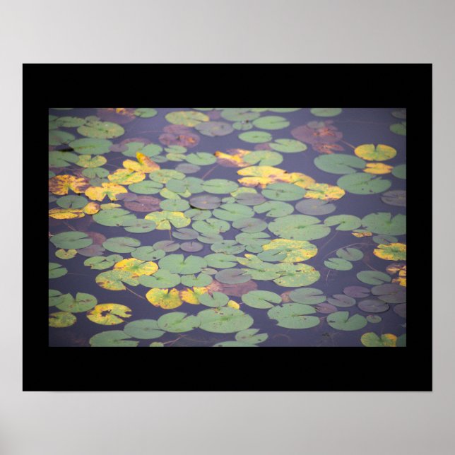 Póster Waterlilies Photo Poster (Frente)