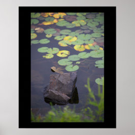 Póster Waterlilies Photo Poster
