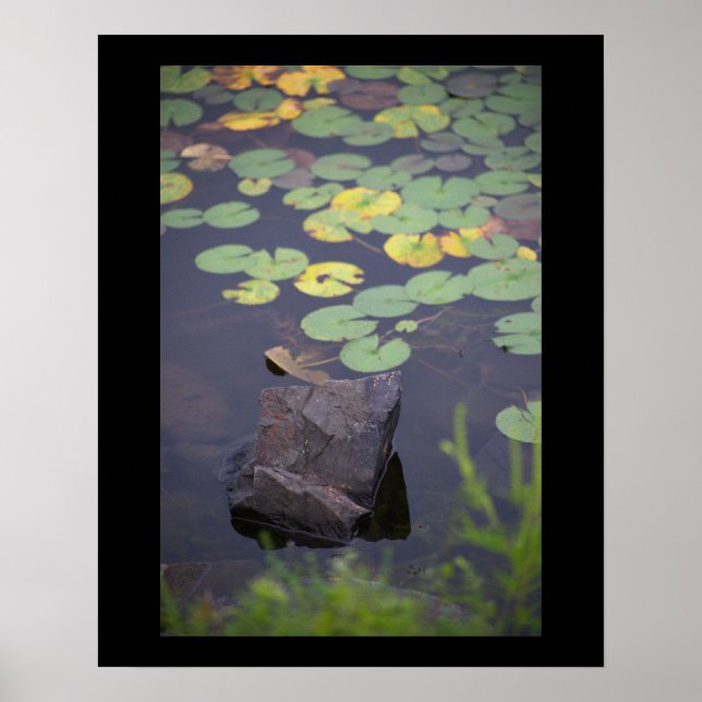 Póster Waterlilies Photo Poster (Frente)