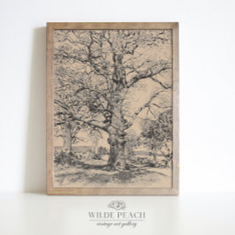 Póster Wayside Inn Oaks en un roble vintage de primavera