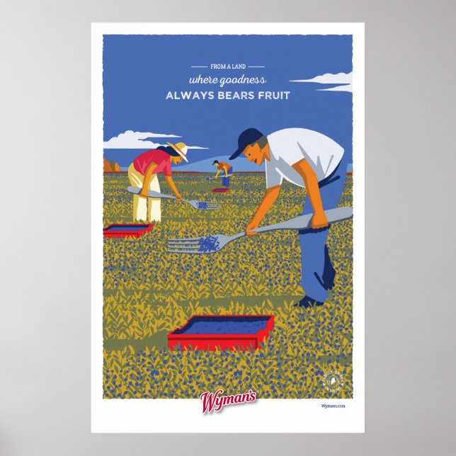 Póster WBB Raking Poster (Frente)