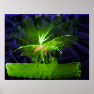 Póster WDV - 068 - Flor
