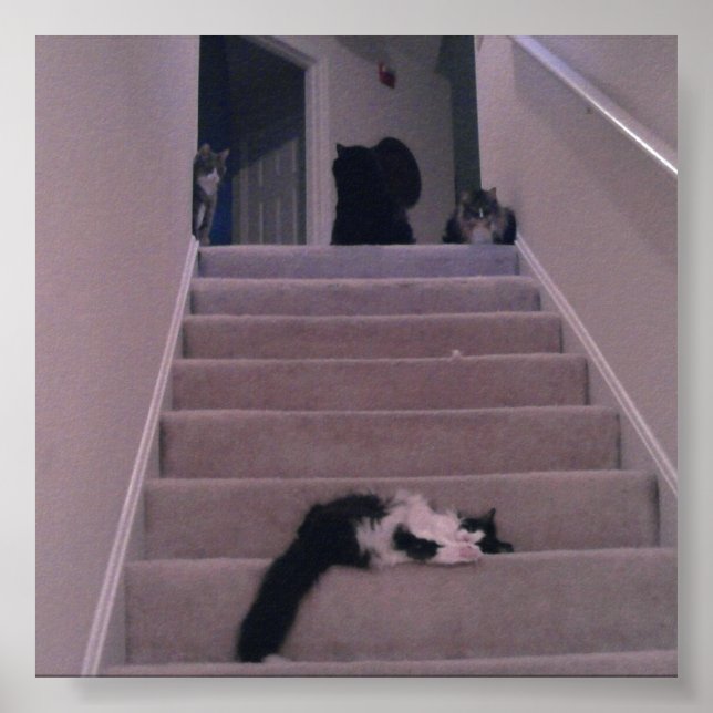 Póster We didn't push him! (Frente)