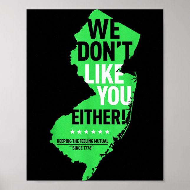 Póster We Don't Like You Either New Jersey New York Rival (Frente)