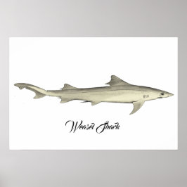 Póster Weasel Shark