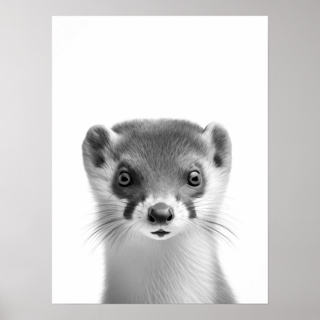 Póster Weasel Woodland Retrato moderno blanco negro (Frente)