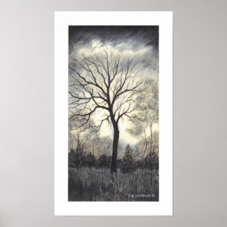 Póster WEATHERING the STORM by CR SINCLAIR