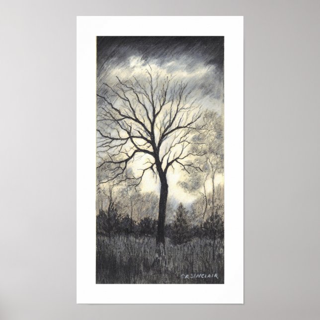 Póster WEATHERING the STORM by CR SINCLAIR (Frente)