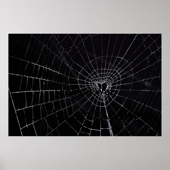 Póster Web enmarañada (Frente)