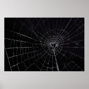 Póster Web enredado