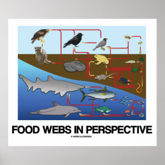 Póster Webs de alimentos en perspectiva (Biología oceánic