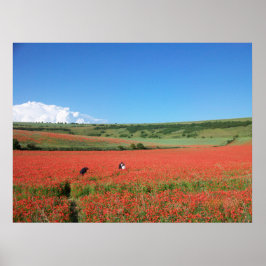 Póster Wedding photo in a field of Red Poppies