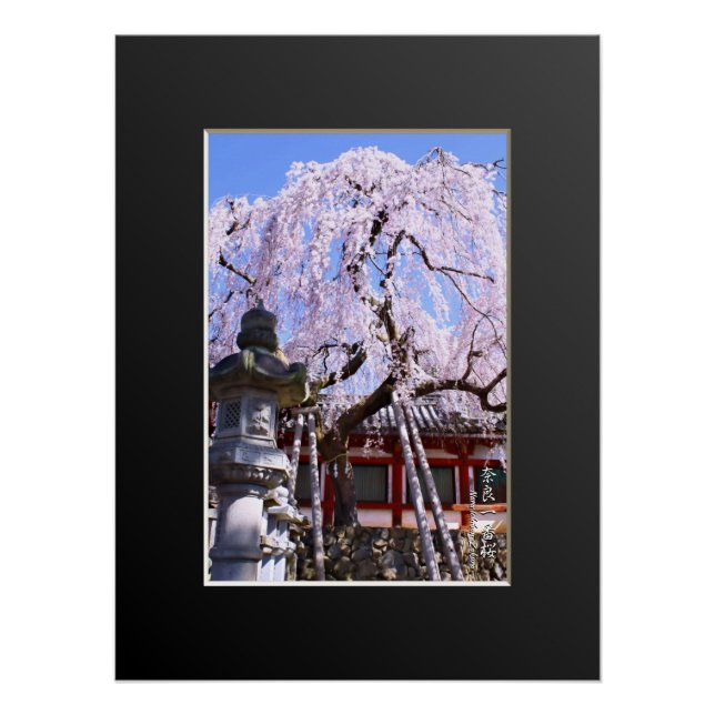 Póster Weeping cherry tree ("Nara Ichiban-Zakura") (Anverso)