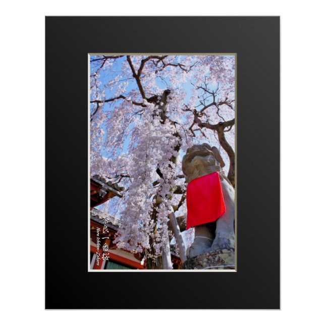 Póster Weeping cherry tree ("Nara Ichiban-Zakura") (Anverso)