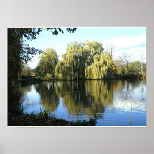 Póster Weeping willow by the lake