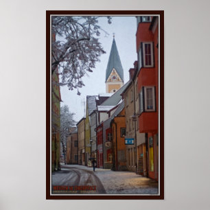 Póster Weiden id Opf - Snowy Side Street