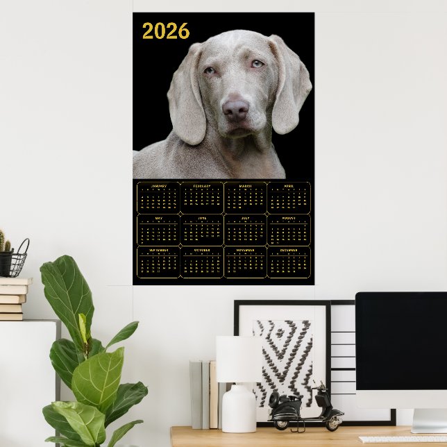 Póster Weimaraner 2026 Calendar (Oficina en casa)