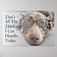 Weimaraner En Glasas Inteligentes