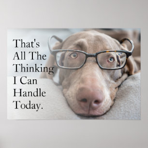 Póster Weimaraner En Glasas Inteligentes