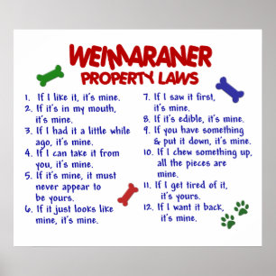 PÓSTER WEIMARANER PL2