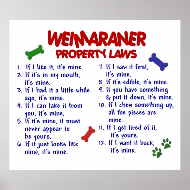 PÓSTER WEIMARANER PL2 (Frente)