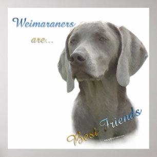 Póster Weimaraners es el mejor Poster de amigos