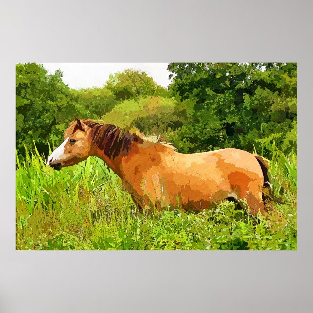 PÓSTER WELSH PONY (Frente)