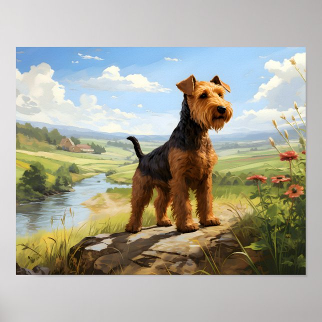 Póster Welsh Terrier En La Mirada (Frente)