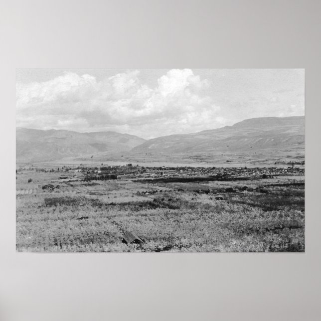 Póster Wenatchee, WA Town View y Orchard Photography (Frente)