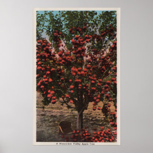 Póster Wenatchee, WAA Wenatchee Valley Apple Tree