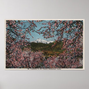 Póster Wenatchee, WAView de la cachemira del Mt. con los