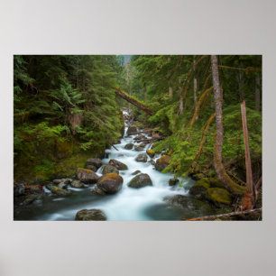 Póster West Fork Foss River Washington