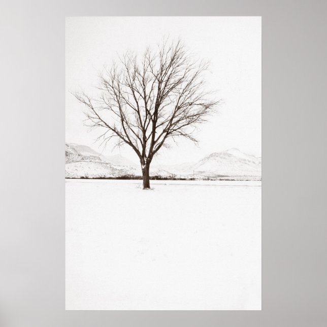 Póster West Texas BLizzard (Frente)