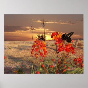 Póster West Texas Sunset