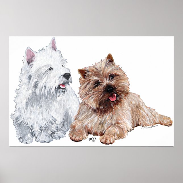 Póster Westie con un Cairn Terrier marrón (Frente)