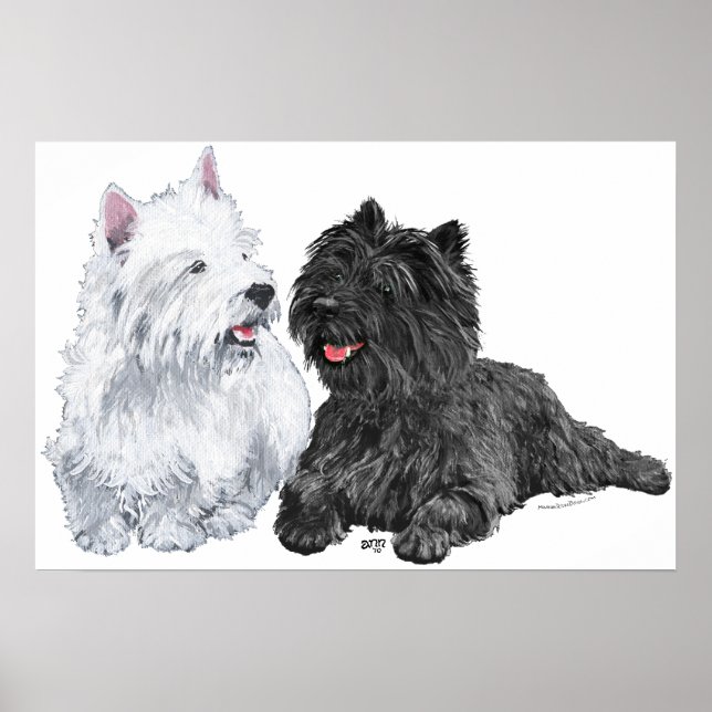 Póster Westie con un Cairn Terrier negro (Frente)