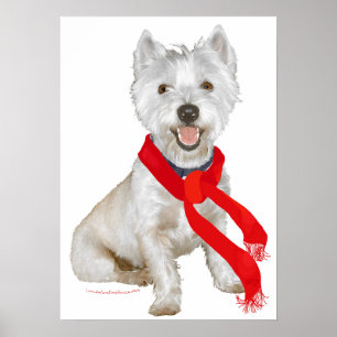 Póster Westie de invierno con una bufanda roja