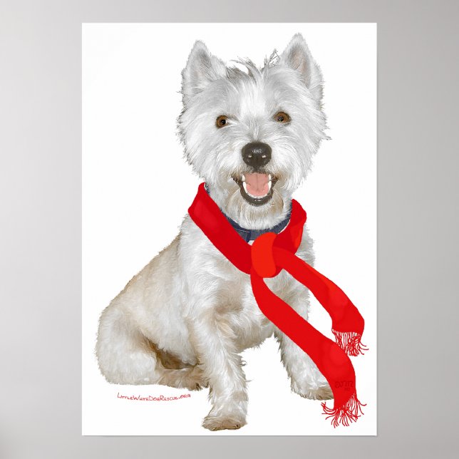 Póster Westie de invierno con una bufanda roja (Frente)