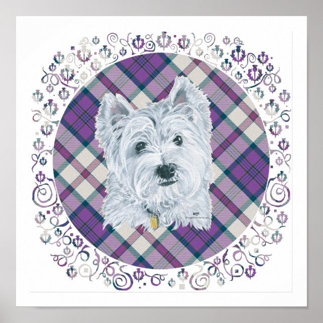 Póster Westie sobre Tartán (Frente)