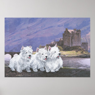 Póster Westies en Escocia