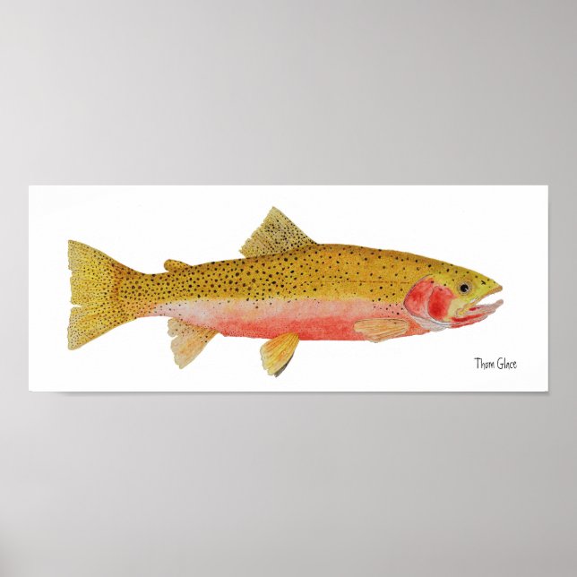 Póster Westslope Cutneck Trout Watercolor (Frente)