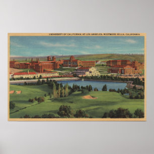 Póster Westwood Hills, CA - View of U.C.L.A. Campus