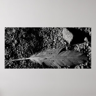 Póster Wet feather