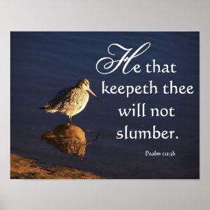 Póster Wetlands Godwit Bird Dios te mantendrá impreso