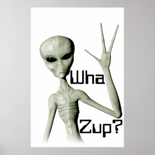 Póster ¿Wha Zup del extranjero? poster