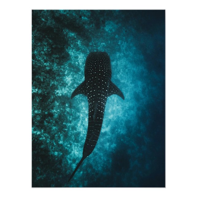 Póster Whale Shark Depths – Ocean Wall Art (Anverso)